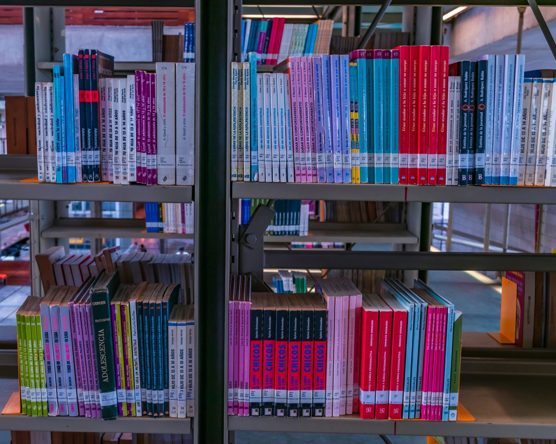 Bookshelf representing criticism and archive work