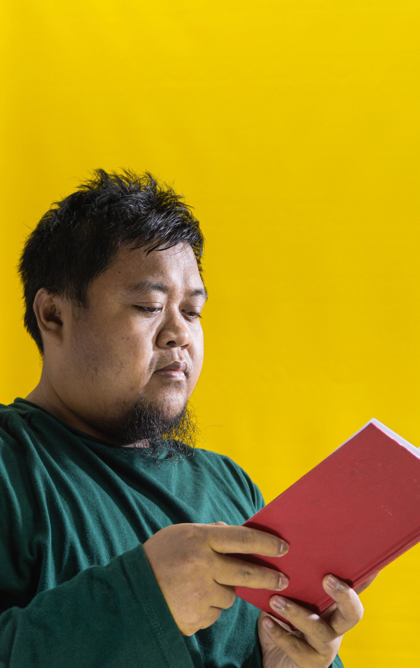 Reader portrait for essayists